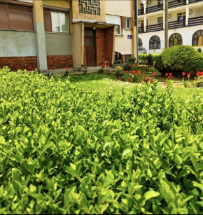 Apartman Mali Raj Rudnik II